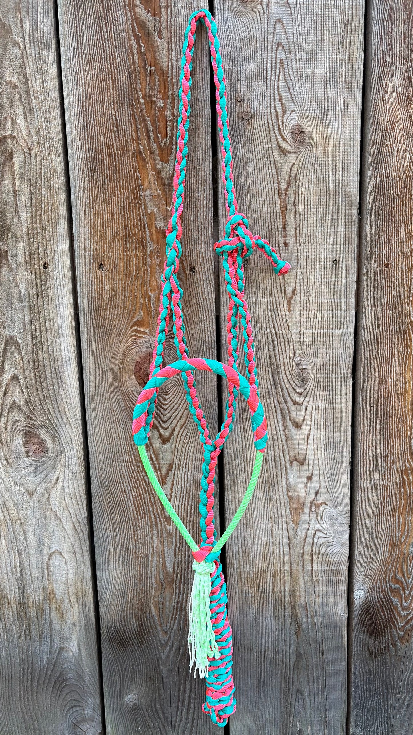Rope Halter