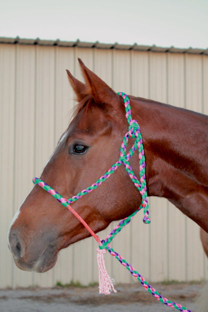Rope Halter