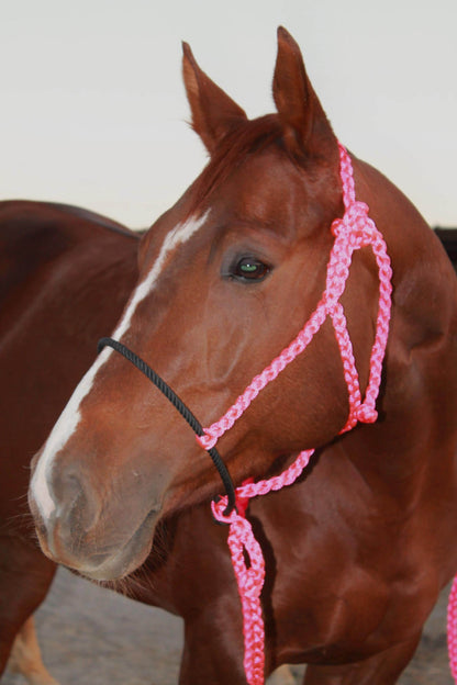 Rope Halter