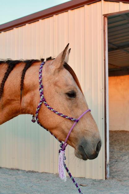 Rope Halter