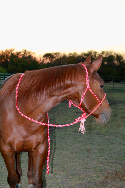 Rope Halter