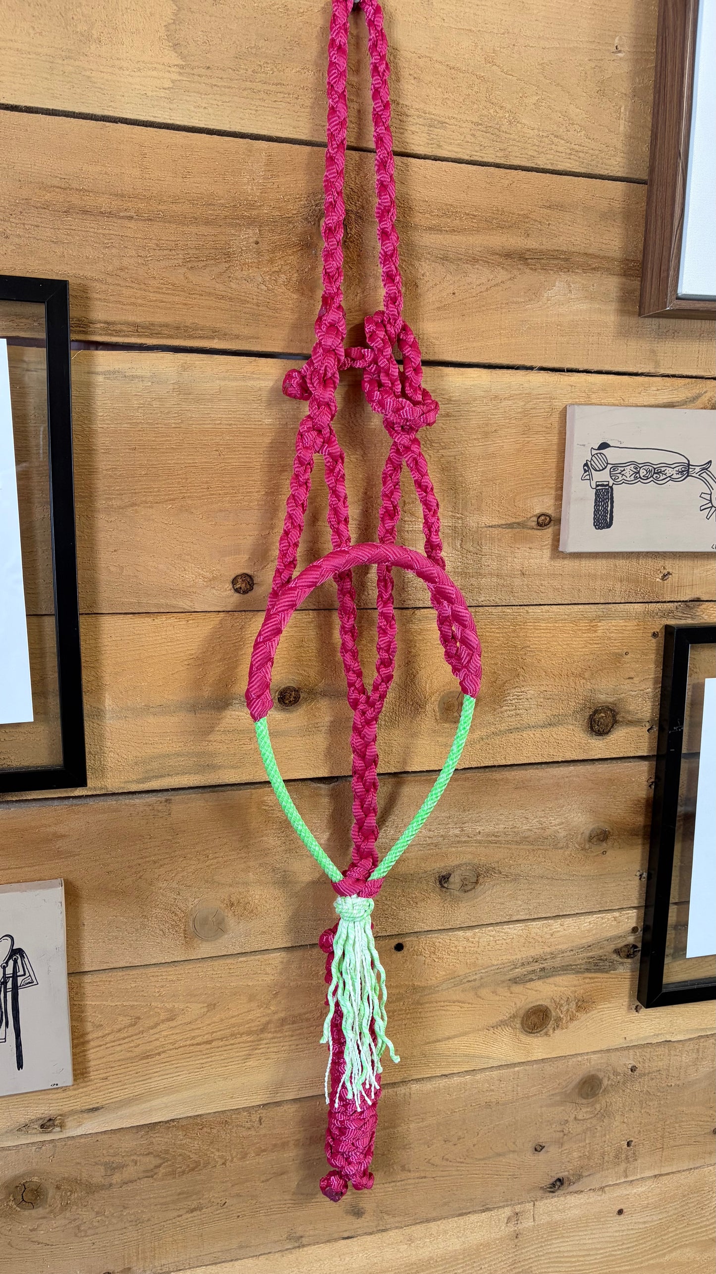 Rope Halter