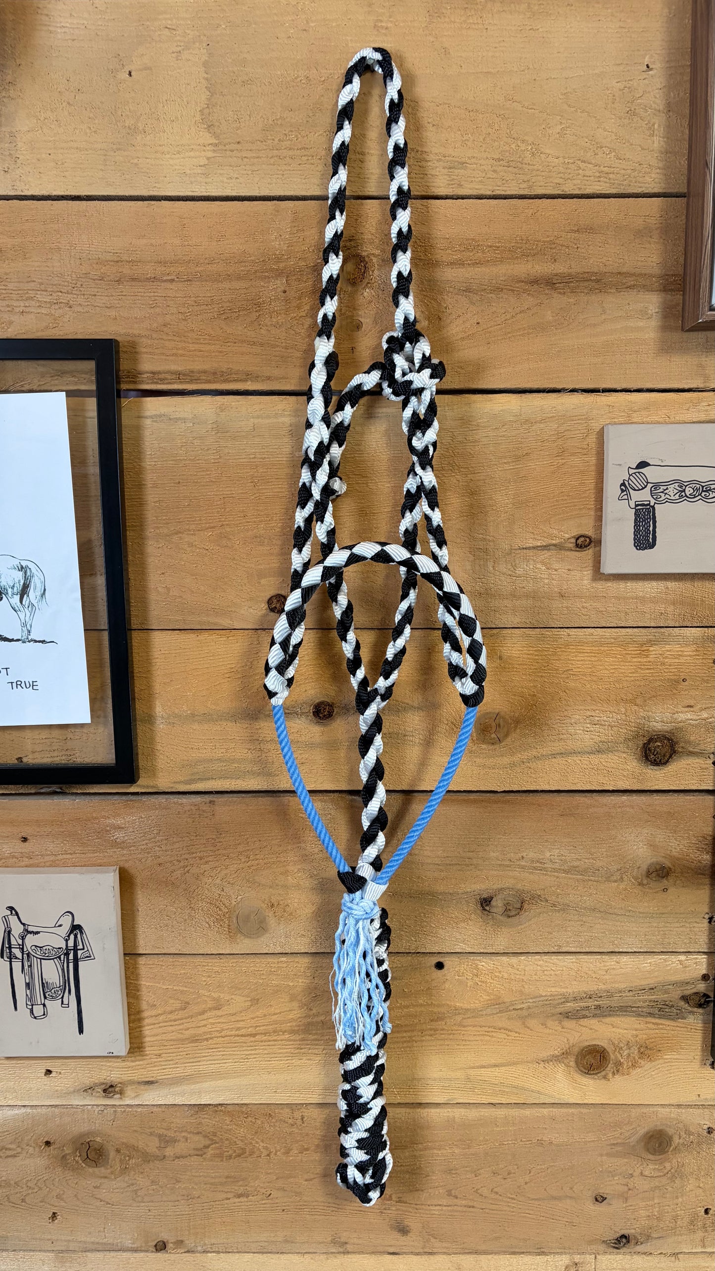 Rope Halter