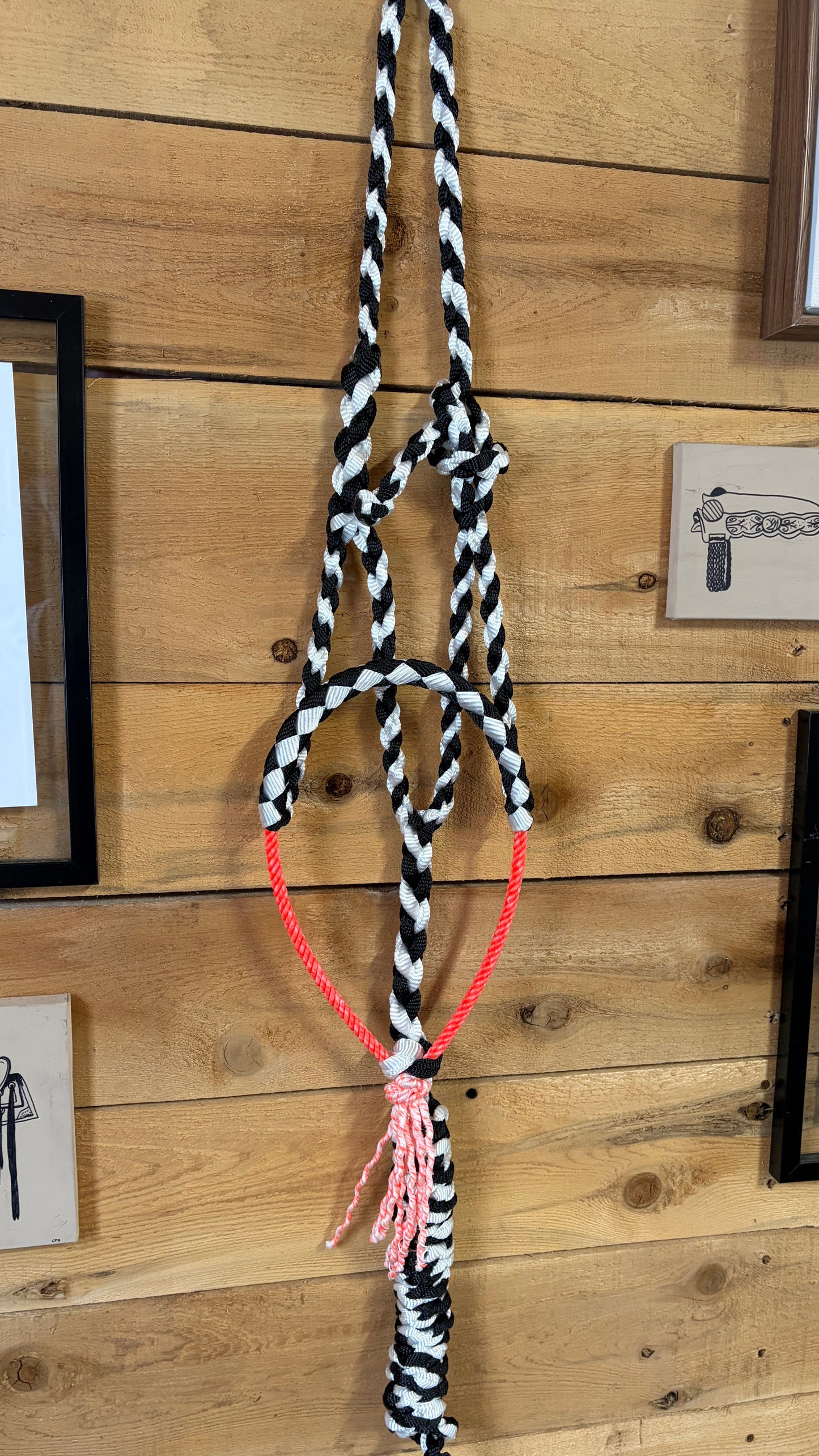 Rope Halter
