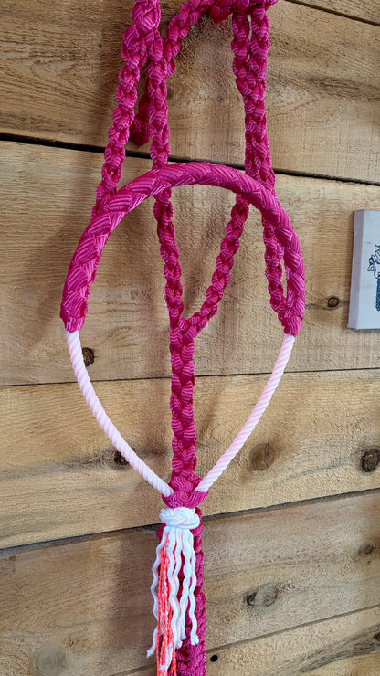 Rope Halter
