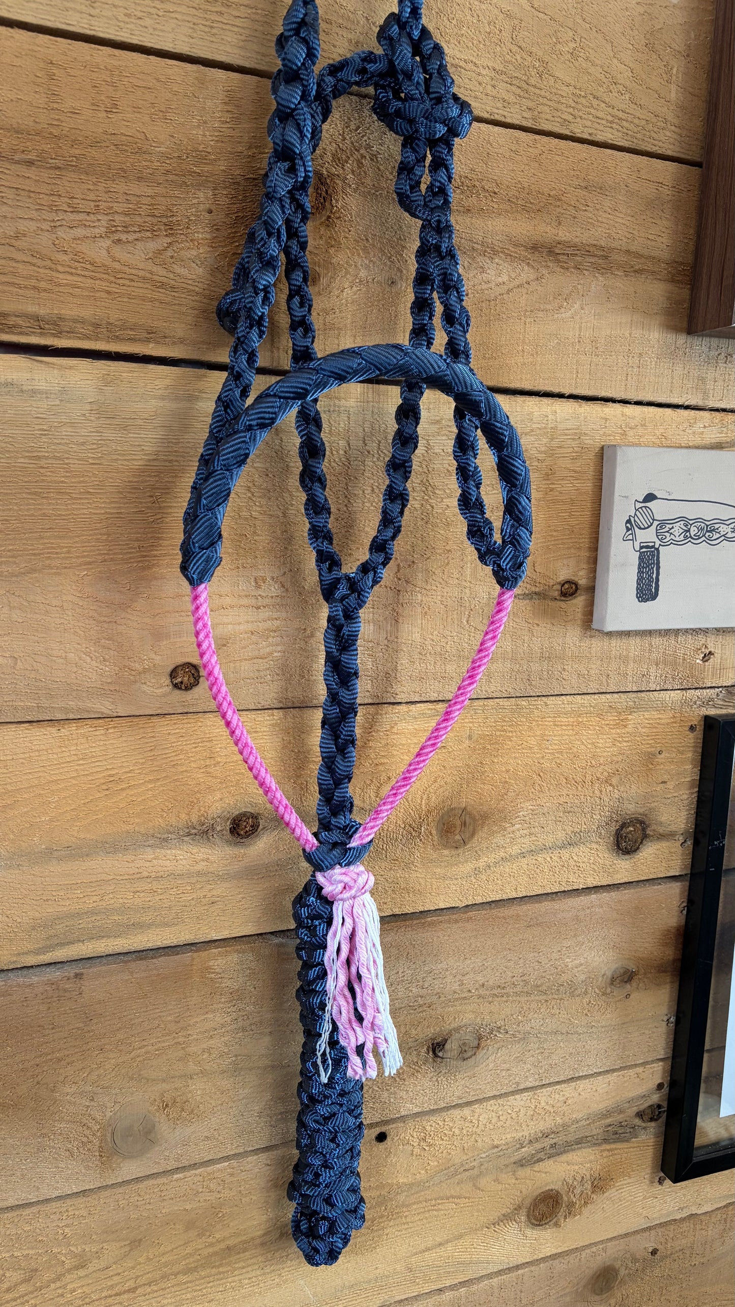 Rope Halter