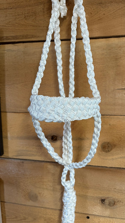 Rope Halter