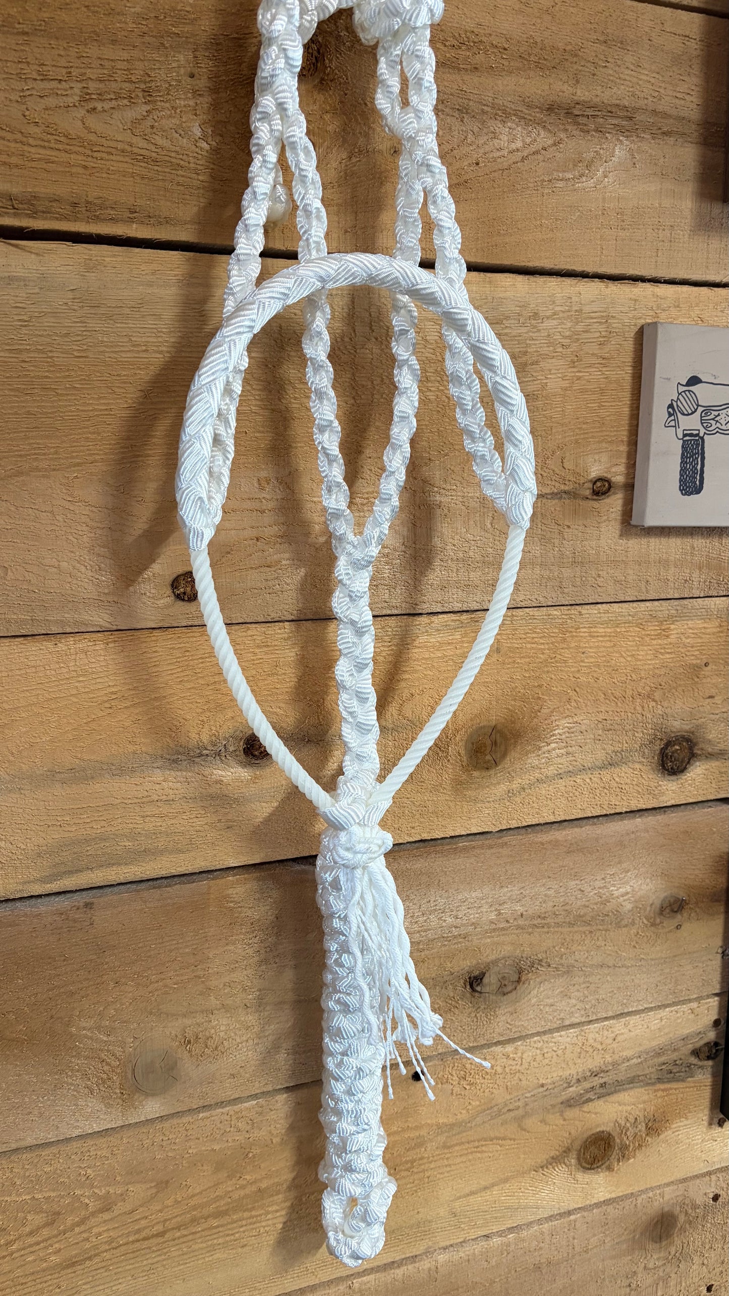 Rope Halter