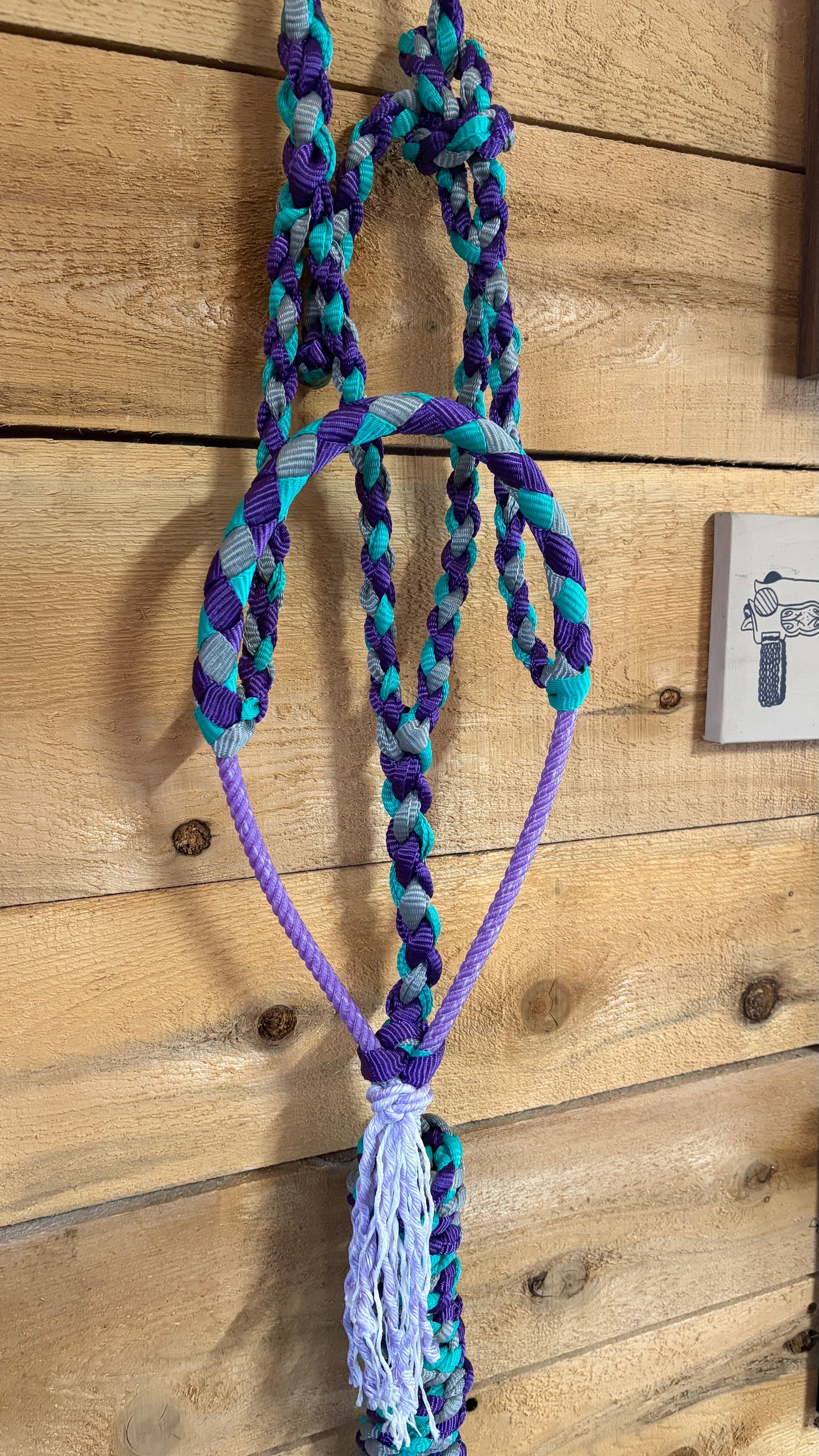 Rope Halter