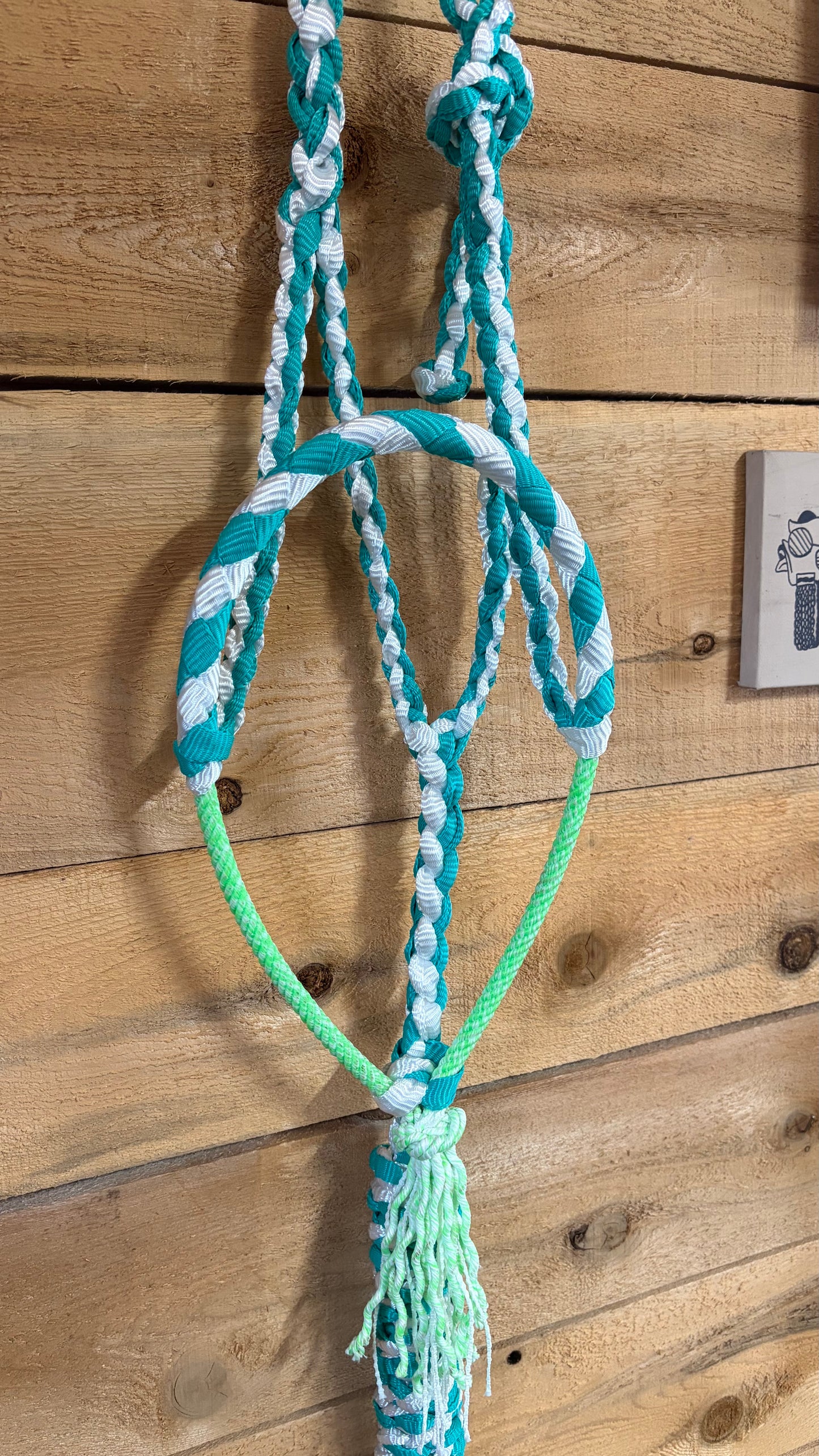 Rope Halter