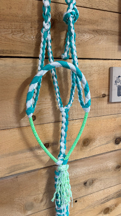 Rope Halter