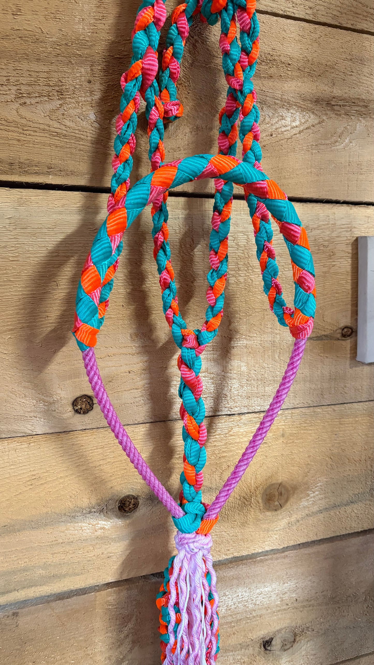 Rope Halter