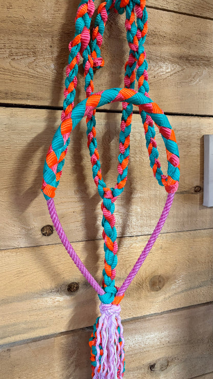 Rope Halter