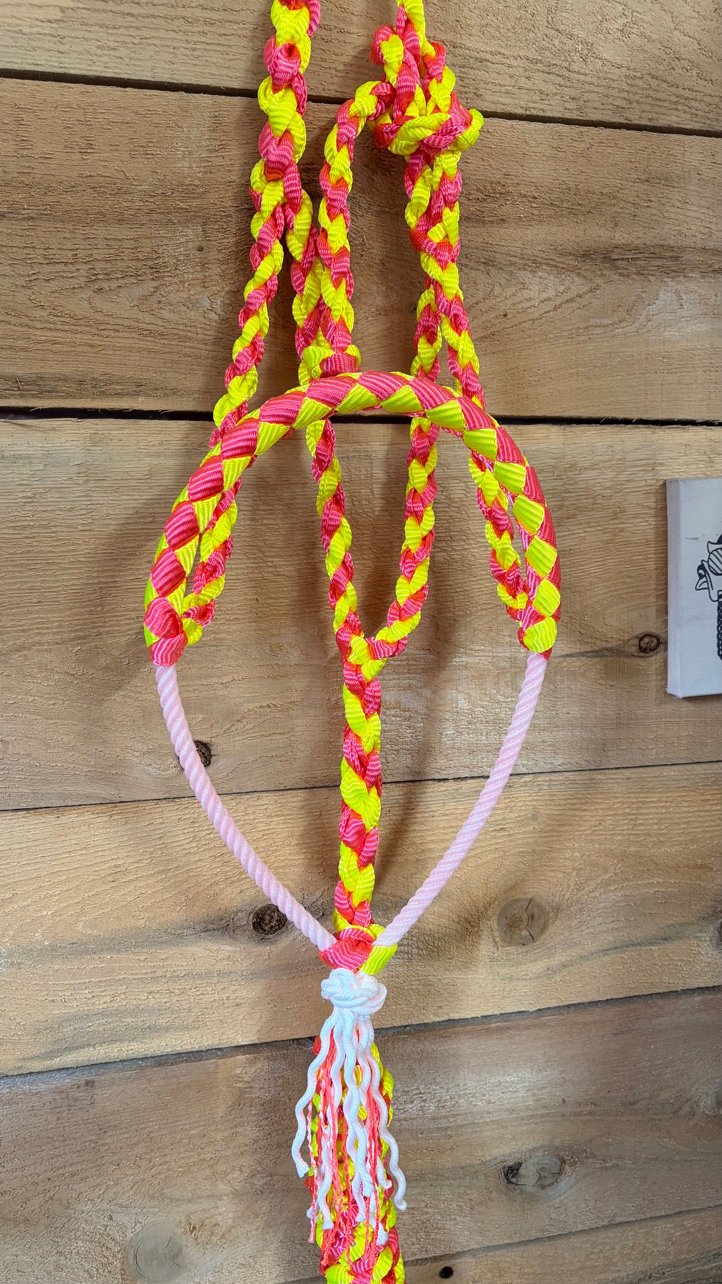Rope Halter