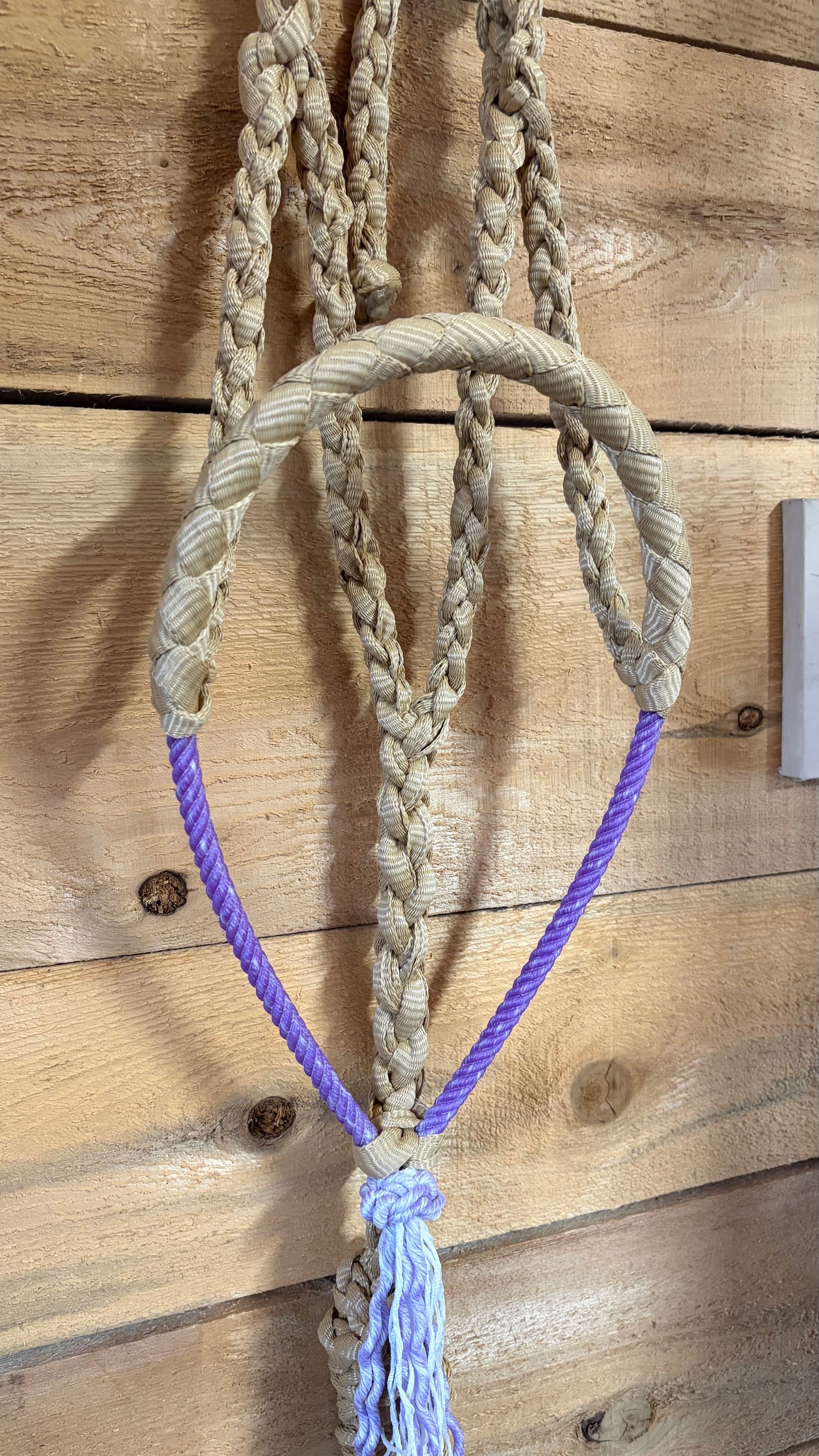 Rope Halter