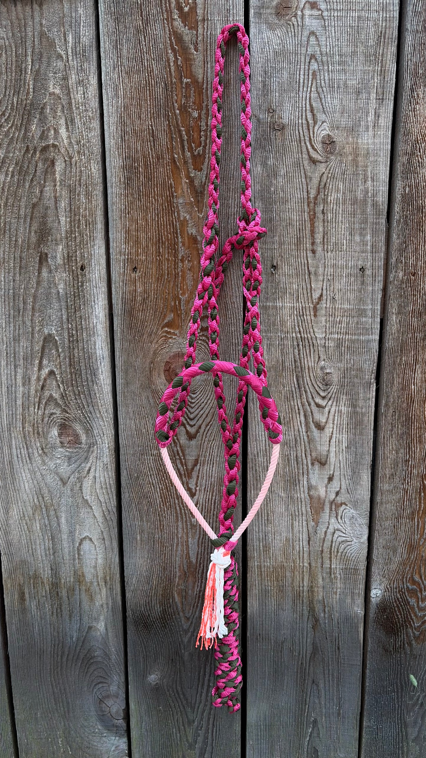 Rope Halter