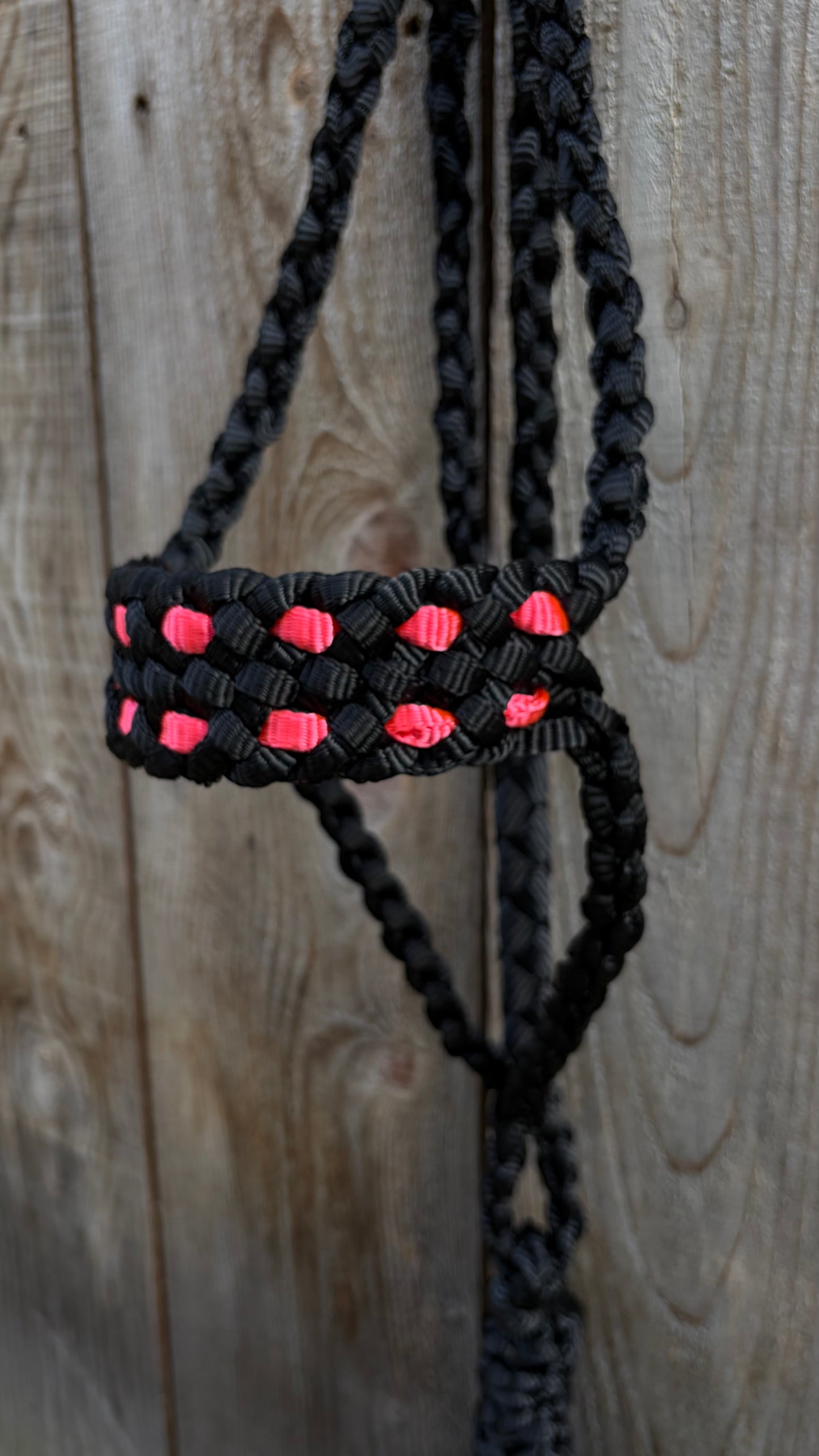 Braided Muletape Halter