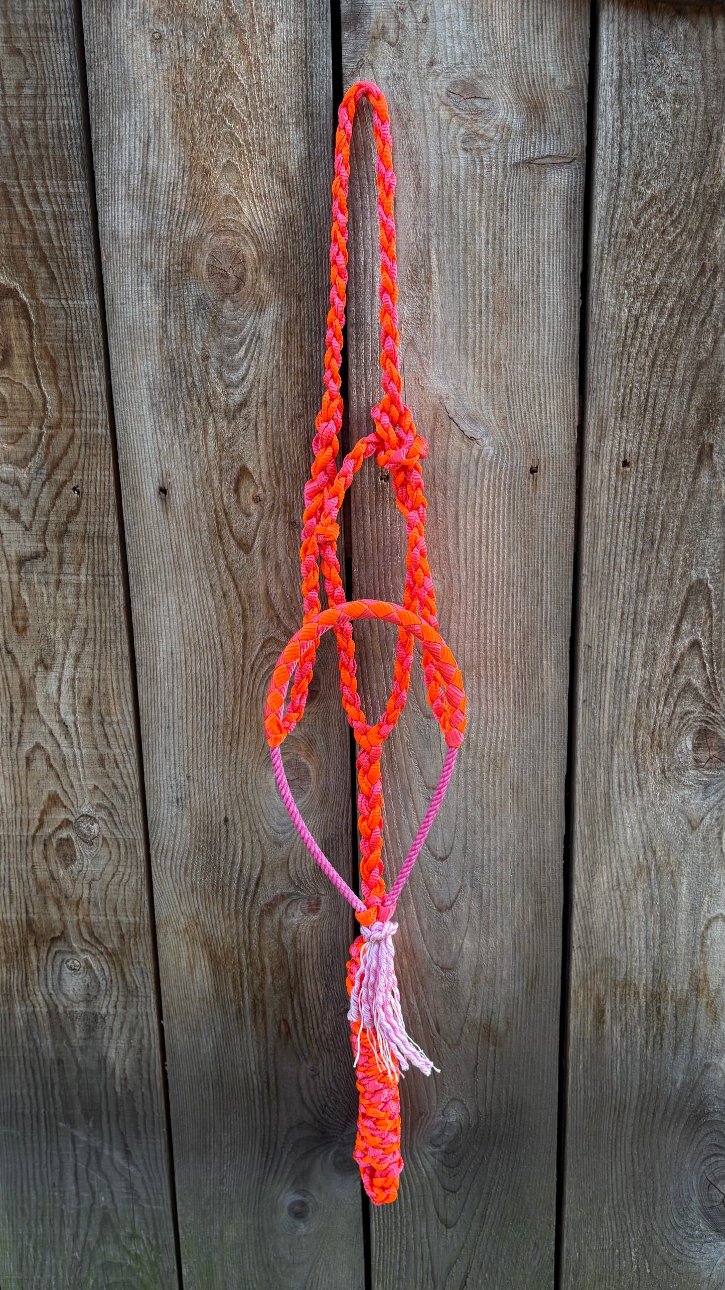 Rope Halter