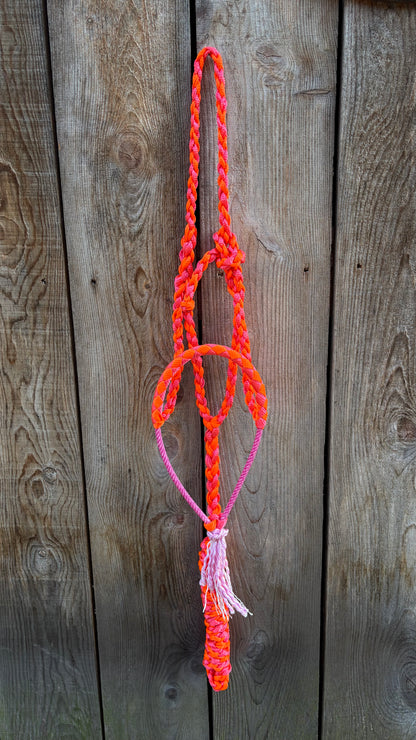 Rope Halter