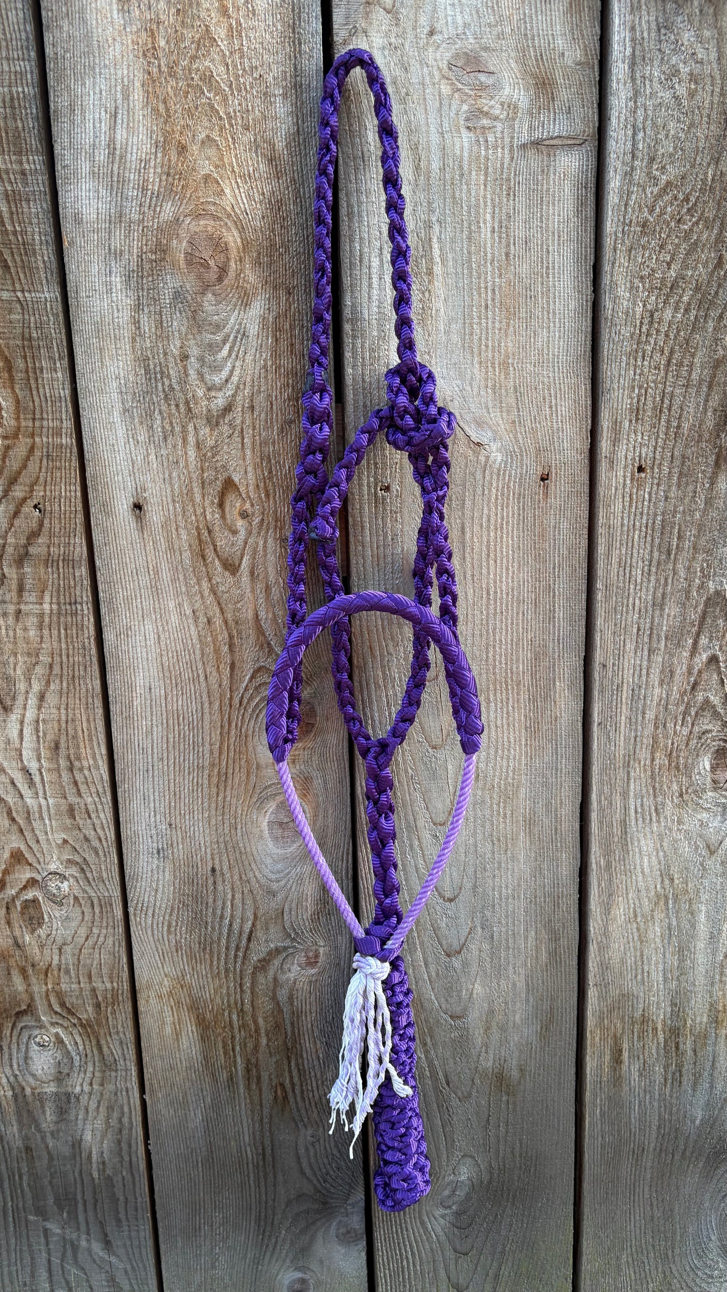 Rope Halter