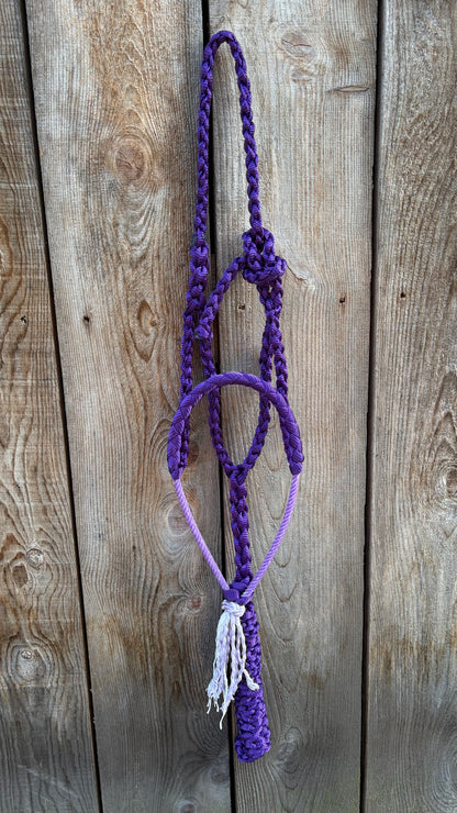 Rope Halter