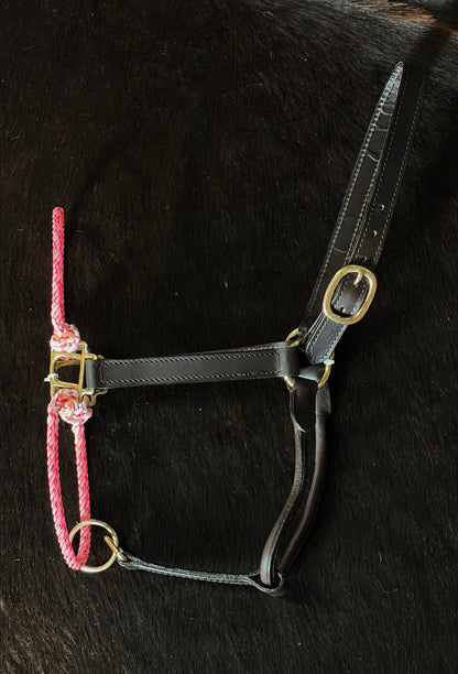 Hybrid Halters