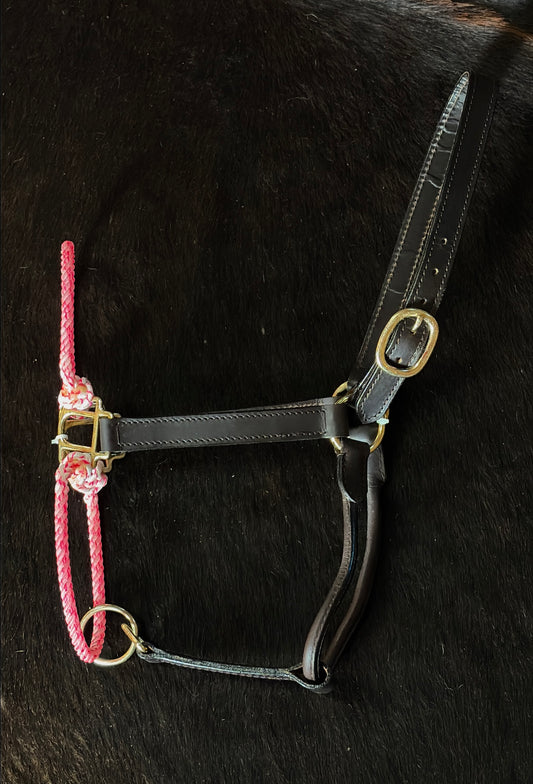 Hybrid Halters