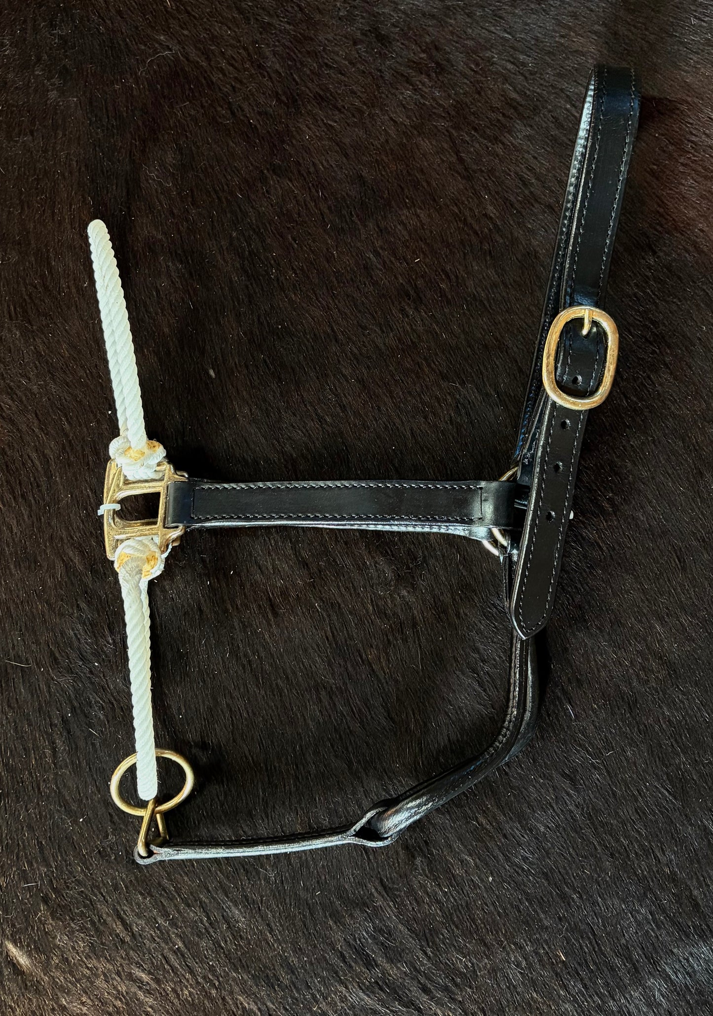 Hybrid Halters