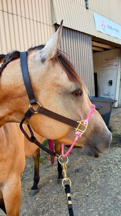 Hybrid Halters